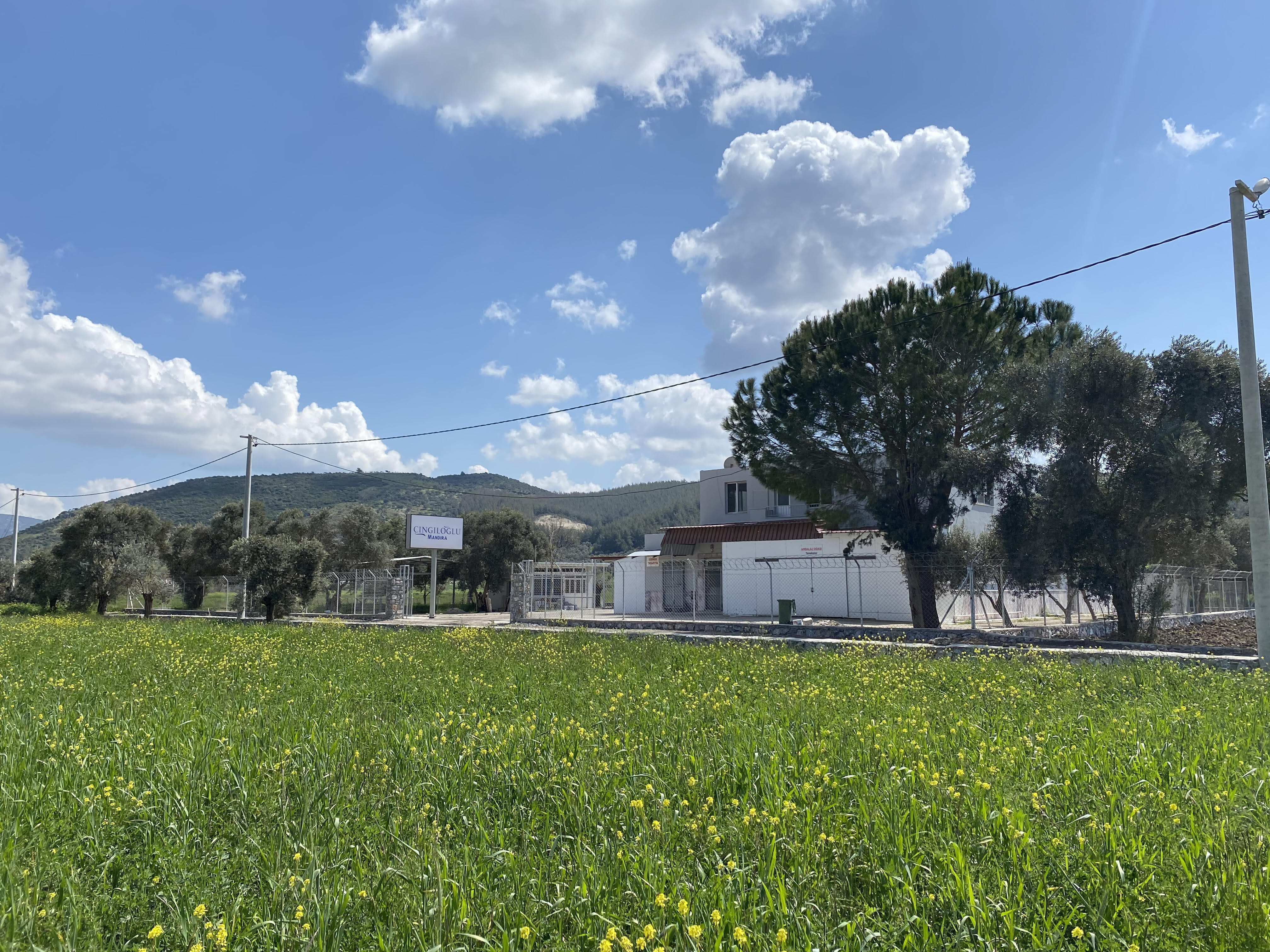 Mandıramız